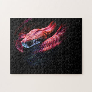 Red Snake on Black - HD Photo Puzzle Pussel