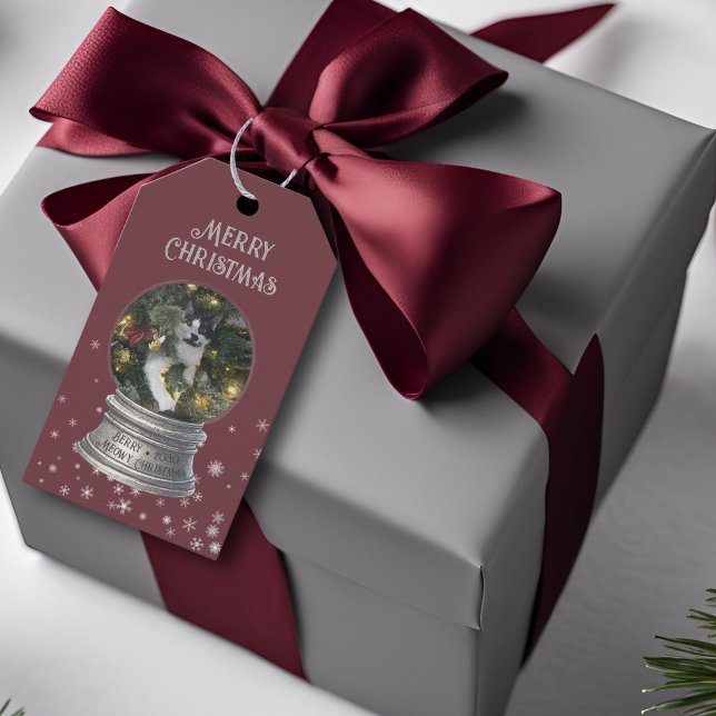 Red Snowglobe Snowflake Photo Presentetikett (red snow globe snowflake gift tag)