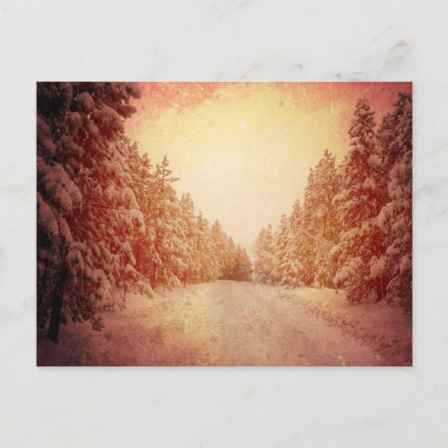 Red Snowy Road, Conifer, CO Vykort (Framsida)