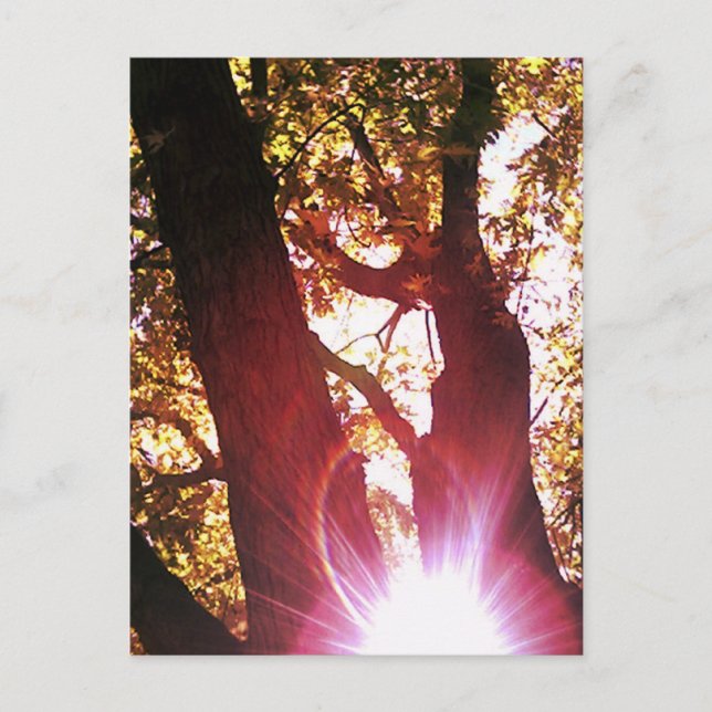 Red Sol Glare Vykort (Framsida)