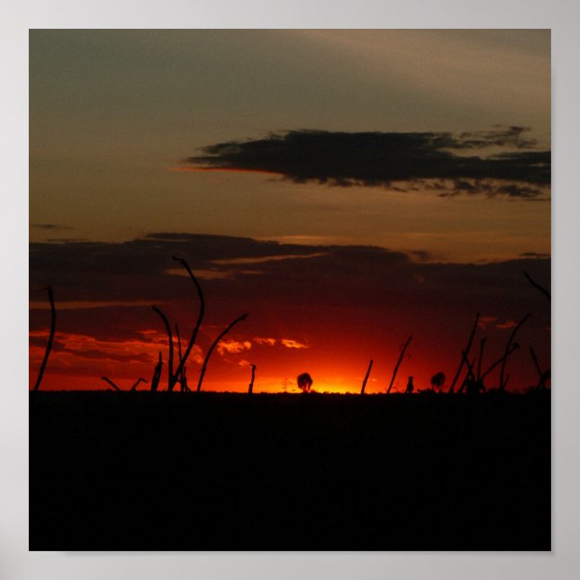 Red Sol Poster (Framsidan)