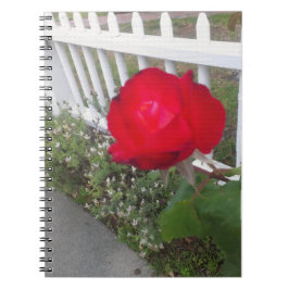 Red Solo Ro Anteckningsbok