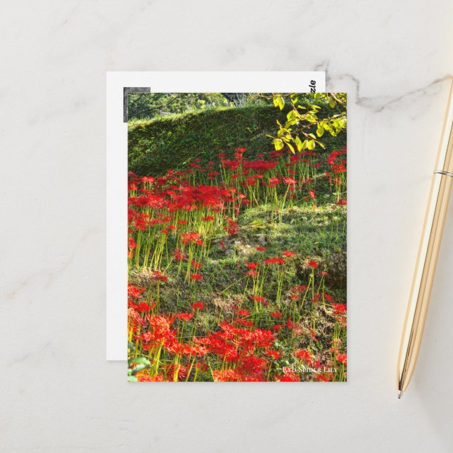 Red Spider Lily ポ ス ト カ ー Vykort (Fram/Back In Situ)