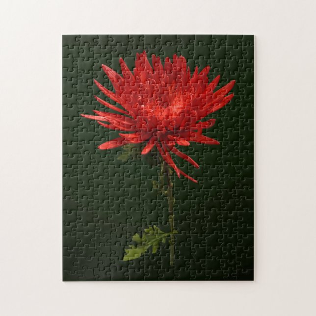 Red Spider Morsa Pussel (Vertikal)
