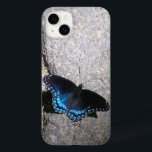 Red Spoted Amiral Butterfly<br><div class="desc">En rödfläckad amiral-fjäril strejkor en fläkt i solljusets stråle på detta fullständiga anpassade.</div>