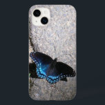 Red Spoted Amiral Butterfly<br><div class="desc">En rödfläckad amiral-fjäril strejkor en fläkt i solljusets stråle på detta fullständiga anpassade.</div>