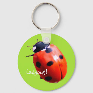 Red Spoted Ladybug Nyckelring
