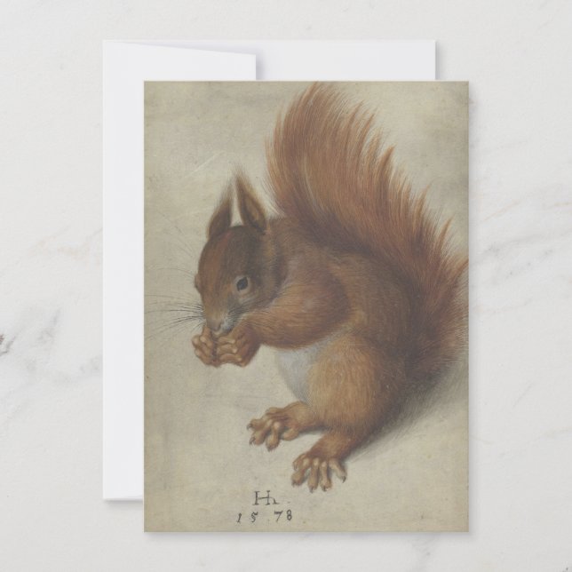 Red Squirrel (av Hans Hoffmann) (Framsida)