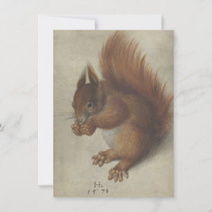 Red Squirrel (av Hans Hoffmann)