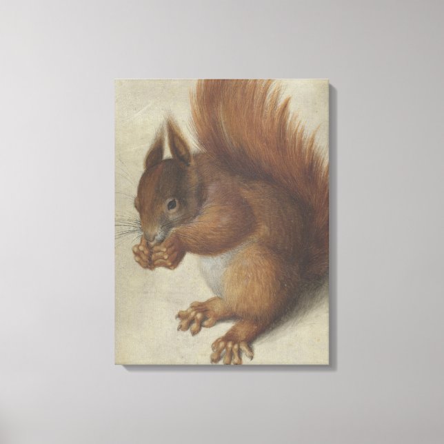 Red Squirrel (av Hans Hoffmann) Canvastryck (Framsida)