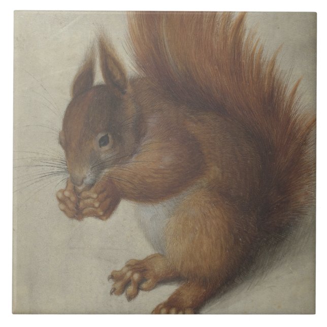 Red Squirrel (av Hans Hoffmann) Kakelplatta (Framsidan)