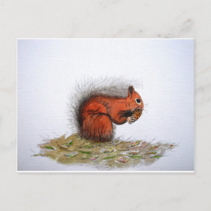 Red Squirrel gräs cone Vykort