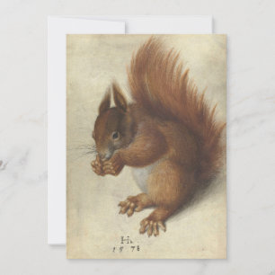 Red Squirrel Hans Hoffmann