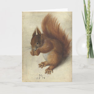 Red Squirrel Hans Hoffmann Kort