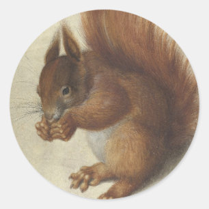 Red Squirrel Hans Hoffmann Runt Klistermärke