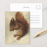 Red Squirrel | Hans Hoffmann Vykort<br><div class="desc">Red Squirrel (1578) av den tyska konstnären Hans Hoffmann. Den ursprungliga teckningen är vattenfärg och gouacher över spår av grafit på vellum. Hoffmann har specialiserat sig på naturstudier, många av dem har kopierat från eller baserat sig på Albrecht Dürer arbete. Använda verktygen för att lägga till anpassningsbar eller anpassa bilden....</div>