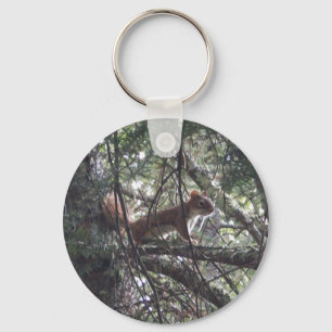 Red Squirrel Keychain #1 Nyckelring