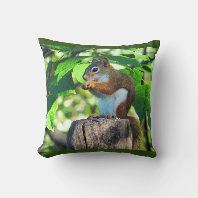 Red Squirrel Kudde (Framsida)