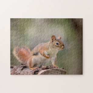 Red Squirrel Pussel