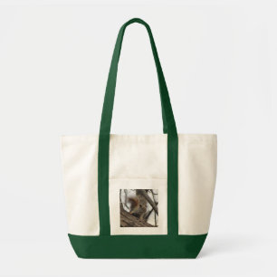 Red Squirrel Tygkasse