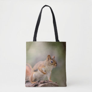 Red Squirrel Tygkasse