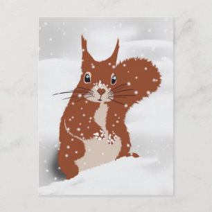 Red Squirrel Winter Snö Snöflingor Cute Animal Vykort