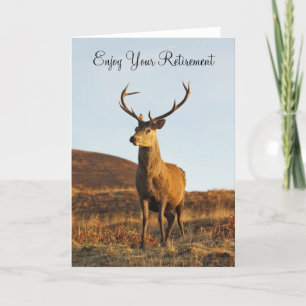 Red Stag Pension-kort Kort
