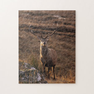 Red Stag Puzzle/Jigszawa Pussel