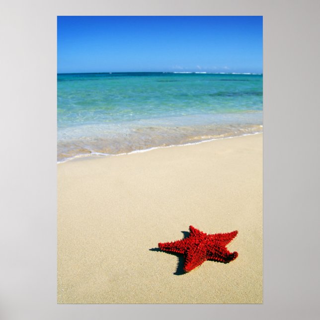 Red Starfish on White Sand Beach Poster (Framsidan)