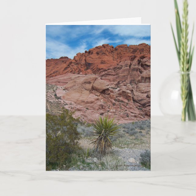 Red Sten Canyon Conservation Area Kort (Framsida)