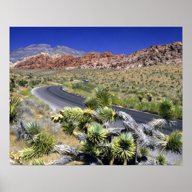Red Sten Canyon National Conservation Area, Las Poster (Framsidan)