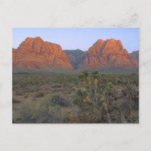 Red Sten Canyon National Conservation Area Vykort