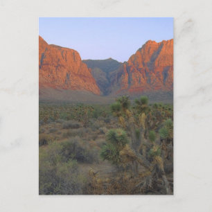 Red Sten Canyon National Conservation Area Vykort