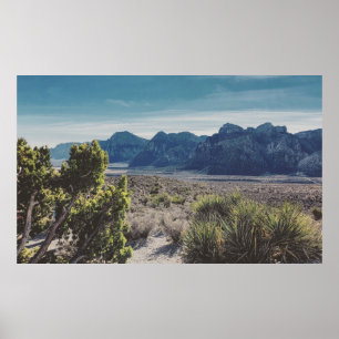 RED STEN CANYON POSTER