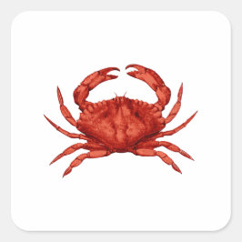 Red Sten Crab (Stillahavsområdet) Fyrkantigt Klistermärke