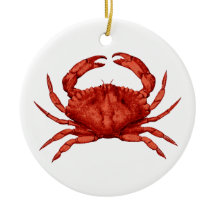 Red Sten Crab (Stillahavsområdet)