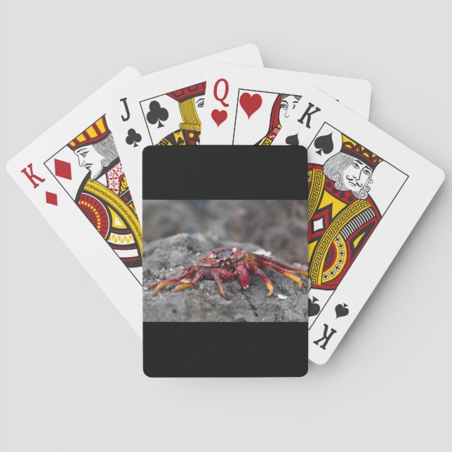 Red sten krabba casinokort (Baksidan)