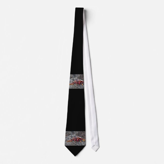 Red sten krabba slips (Framsida)