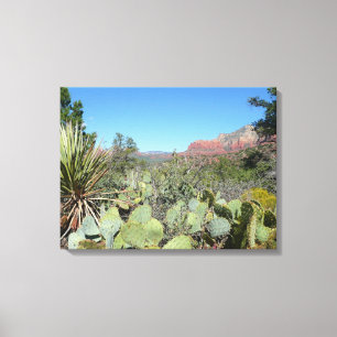Red Sten och Cacti I Canvastryck