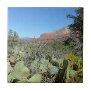 Red Sten och Cacti I Kakelplatta