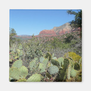 Red Sten och Cacti I Magnet