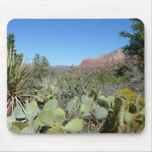 Red Sten och Cacti I Musmatta