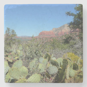 Red Sten och Cacti I Stenunderlägg