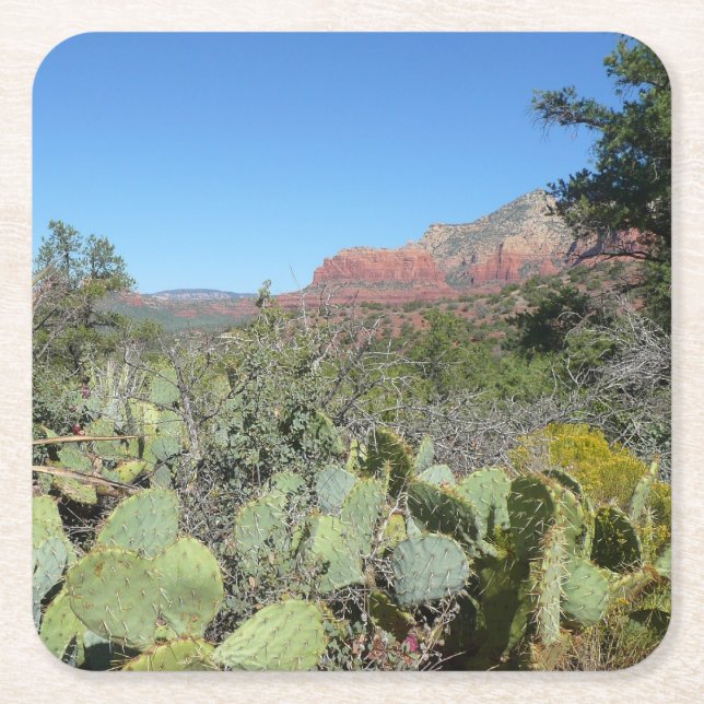 Red Sten och Cacti I Underlägg Papper Kvadrat (Framsidan)
