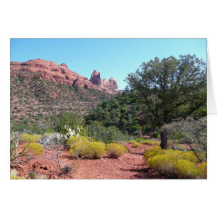 Red Sten och Cacti II i Sedona Arizona Hälsningskort