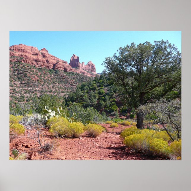 Red Sten och Cacti II i Sedona Arizona Poster (Framsidan)