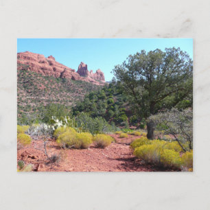 Red Sten och Cacti II i Sedona Arizona Vykort