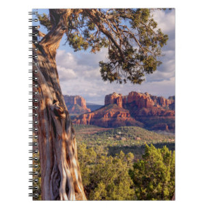 Red Sten Sedona Arizona Anteckningsbok