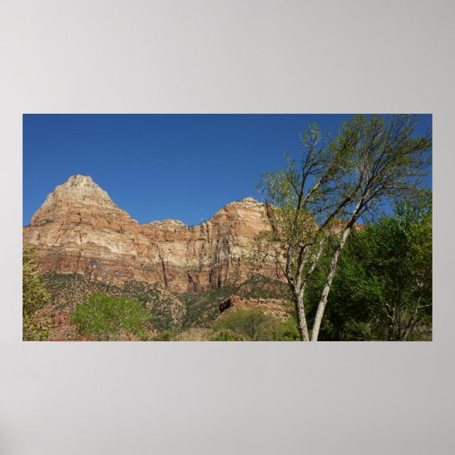 Red Sten vid Zion National Park Photography Poster (Framsidan)
