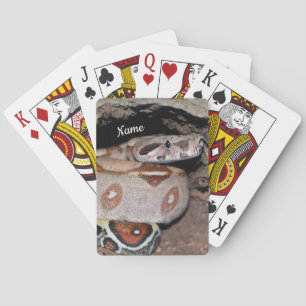 Red Svan Boa Constritor Snake Casinokort